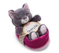Nici Cat Sleeping In Basket Teddy 12 Cm