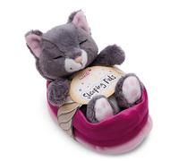NICI cuddly toy cat grey 12cm, sleeping in basket, Plush toy to cuddle and love, Sustainably produced from recycled materials - 49746