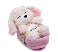 NICI cuddly toy dog - Poodle white 12cm, sleeping in basket, Plush toy to cuddle and love, Sustainably produced from recycled materials - 49749