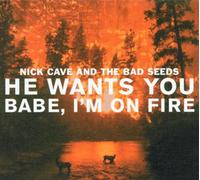 Nick Cave And The Bad Seeds - He Wants You Babe, I'm On Fire