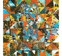 Nick Ferrio - Amongst The Coyotes And Birdsongs [VINYL]