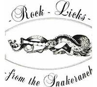 Nick Glennie-Smith - Rock Licks From The Snake Ranch [Vinyl LP]