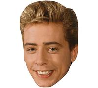 Nick Heyward (Young) Celebrity Mask, Flat Card Face, Fancy Dress Mask