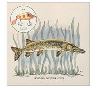 Nick Lowe - Lay It On Me EP (12") [VINYL]