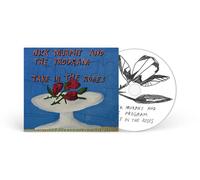 Nick Murphy & The Program - Take In The Roses