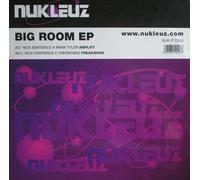 Nick Sentience - Big Room Ep Vol.2 [12" VINYL]