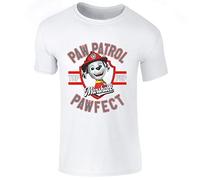 Nickelodeon Paw Patrol Marshall Top Pup Pawfect Childrens Short Sleeve Printed T Shirt (White, 9-11 Years)