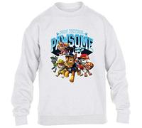 Nickelodeon Paw Patrol Patrol Pawsome Here to Help Childrens Kids Printed Sweatshirt (White, 3-4 Years)