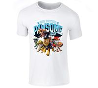 Nickelodeon Paw Patrol Pawsome Childrens Short Sleeve Printed T Shirt, White (3-4 Years)
