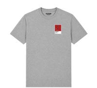 Nico Williams Spain Icon Frame Men's T-Shirt - Gray / XL
