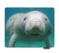 NICOKEE Manatee Rectangle Gaming Mousepad Cute Manatee in The Water Mouse Pad Mouse Mat for Computer Desk Laptop Office 9.5 X 7.9 Inch Non-Slip Rubber