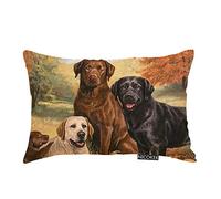 Nicokee Throw Pillow Cover Lovely Labrador Retriever Dog Art Cute Dogs Decorative Pillow Case Home Decor 20x12 Inches Pillowcase