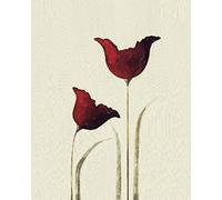 Nicola Evans "Tulips I Canvas Print, Multi-Colour, 40 x 50 cm