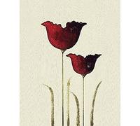 Nicola Evans "Tulips II Canvas Print, Multi-Colour, 40 x 50 cm
