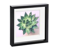 Nicola Spring 10" x 10" Black 3D Box Photo Frame - 8" x 8" Mount - White
