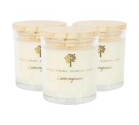 Nicola Spring 130g Lemongrass Soy Candles - Pack of 3 - Fruity Summer in Clear Nicola Spring Clear