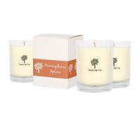 Nicola Spring 160g Pumpkin Spice Soy Candles - Pack of 3 - Autumn Spiced Jars in Clear Nicola Spring Clear