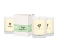 Nicola Spring 160g Sage Retreat Soy Candles - Pack of 3 - Herbal Spa Glass Jars in Clear Nicola Spring Clear