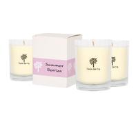 Nicola Spring 160g Summer Berries Soy Candles - Pack of 3 - Fruity Scented in Clear Nicola Spring Clear