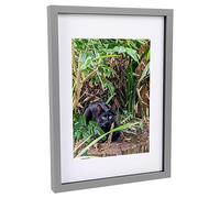 Nicola Spring 3D Shadow Box Frame - Grey A3 Frame (30 x 42cm) - White A4 Mount (20 x 30cm) - Pack of 1-3D Photo Frame 3D Box Picture Frame Box Portrait Display Case Wedding Crafts Frame