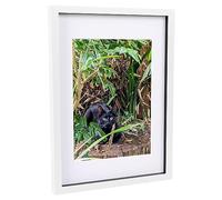Nicola Spring 3D Box Photo Frame With A4 Mount - A3 (12" X 17") - White/White, White