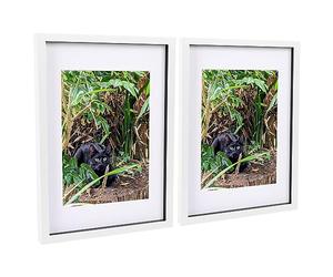 Nicola Spring 3D Shadow Box Frame - White A3 Frames (30 x 42cm) - White A4 Mount (20 x 30cm) - Pack of 2-3D 3D Photo Picture Box Portrait Display Case Wedding Crafts Frame