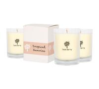 Nicola Spring 3x 160g Soy Wax Scented Candles - Tropical Sunrise Aromatherapy Jar Candle in Clear Nicola Spring Clear