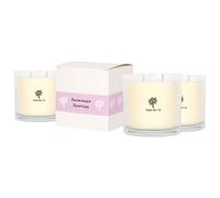 Nicola Spring 3x 400g Soy Wax Scented Candles - Summer Berries Aromatherapy Jar Candle in Clear Nicola Spring Clear