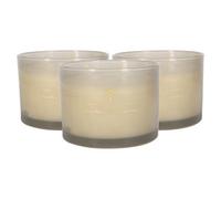 Nicola Spring 3X Green Pomelo & Passion Fruit Scented Candles 350G 38H Natural Double Soy Wax Aromatherapy Candle Home Fragrance