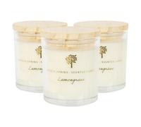 Nicola Spring 3X Lemongrass Scented Candles 130G 21H Natural Single Wick Soy Wax Aromatherapy Candle Home Fragrance