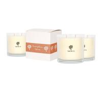 Nicola Spring 3X Pumpkin Spice Scented Candles - 400G 28H Natural Single Wick Soy Wax Aromatherapy Candle Home Fragrance