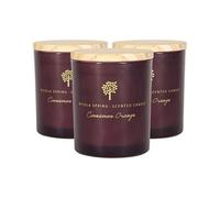 Nicola Spring 3X Soy Wax Scented Candles - 130G - Cinnamon & Orange - Festive Spiced Scent Glass Jars Long Burn Fragrance Set
