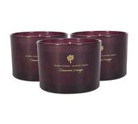 Nicola Spring 3X Soy Wax Scented Candles - 350G - Cinnamon & Orange - Double Wick Jarred Warm Spiced Scent Long Burn Fragrance