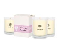 Nicola Spring 3X Summer Berries Scented Candles - 160G 28H Natural Single Wick Soy Wax Aromatherapy Candle Home Fragrance