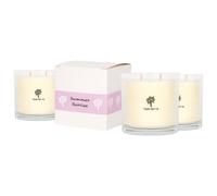 Nicola Spring 3X Summer Berries Scented Candles - 400G 28H Natural Single Wick Soy Wax Aromatherapy Candle Home Fragrance