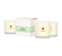 Nicola Spring 400g Sage Retreat Soy Candles - Pack of 3 - Double Wick Glass Jars in Clear Nicola Spring Clear