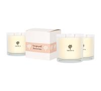 Nicola Spring 400g Tropical Sunrise Soy Candles - Pack of 3 - Double Wick Jars in Clear Nicola Spring Clear