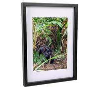 Nicola Spring Black 3D Box Photo Frame A3 12 x 17 Inch with A4 White Mount | Removable Mount, Acrylic Construction, Floating Display Effect, Portrait & Landscape Hanging, Multiple Hanging Points