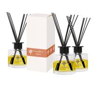 Nicola Spring Glass Reed Diffusers - 200ml - Pumpkin Spice - 3x Home Décor Bathroom Bedroom Room Essential Oil Air Freshener with Scented Sticks 60 Day Fragrance