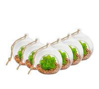 Nicola Spring Hanging Glass Terrariums - 10cm - Pack of 6 Open Terrarium Pot Planter for Indoor Outdoor Home Garden Succulent, Cacti, Ferns, Plants Hanging Tabletop Displays