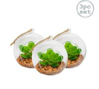 Nicola Spring Hanging Glass Terrariums - 12Cm - Clear