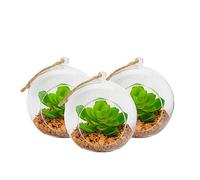 Nicola Spring Hanging Glass Terrariums - 12cm - Pack of 3 Open Terrarium Pot Planter for Indoor Outdoor Home Garden Succulent, Cacti, Ferns, Plants Hanging Tabletop Displays