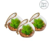 Nicola Spring Hanging Glass Terrariums - 8Cm - Clear