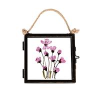 Nicola Spring Hanging Metal Photo Frame - 4" X 4" - Black, Black