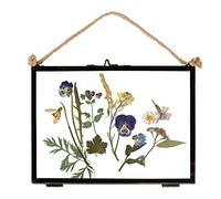 Nicola Spring Metal Photo Frame - Fits Photo Size 7 x 5 (17 x 12cm) - Pack of 1 - Black Picture Frame Landscape Orientation Photo Frame Rope Wall Hanging Photo Certificate Display Poster Frame