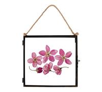 Nicola Spring Hanging Metal Photo Frame - 8" X 8" - Black - Picture Frame Wall Mounted Frame With Rope