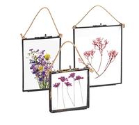 Nicola Spring Hanging Metal Photo Frame Gallery Set - 3 Sizes Black Vintage Glass Picture Frames with Rope Wall Display - Rustic Industrial Home Décor for Photos, Prints & Artwork