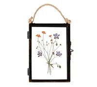 Nicola Spring Hanging Metal Photo Frame - 4" X 6" - Black, Black