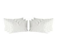 Nicola Spring Rectangle Velvet Cushions - 60Cm X 40Cm - Cream - Pack Of 6