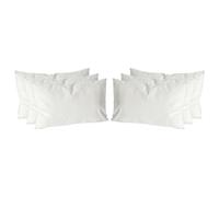 Nicola Spring Rectangle Velvet Pillow - Cream - Pack of 6-60cm x 40cm - Soft Filled Decorative Throw Pillow Scatter Cushion with Pillowcase Cover & Inserts for Bed, Sofa Chairs